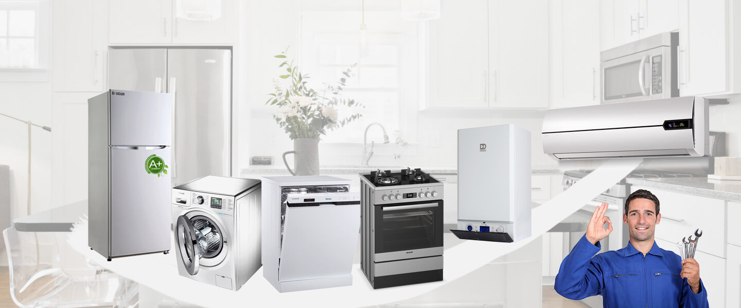 Dalaman Dominox Servisi